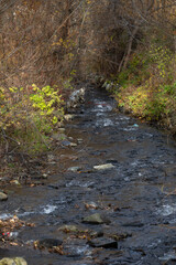 Autumn landscape with Vanadzor river and trees