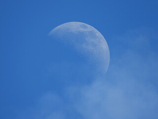 The moon at daylight