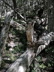 torres del paine national park in chilean patagonia