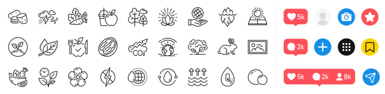 Antistatic, Photo and Cold-pressed oil line icons pack. Social media icons. Natural linen, Leaf, Vegetables web icon. Pecan nut, Co2 gas, Potato pictogram. Bad weather, Peas, Iceberg. Vector