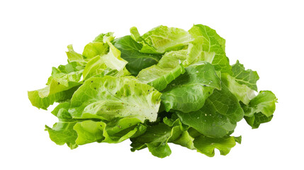 Classic Caesar Salad Isolated on Transparent Background