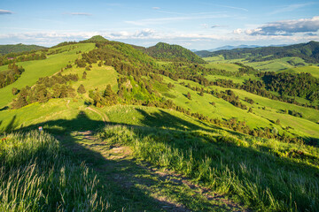 Spring trekking path in Wysoki Wierch at Pieniny mountains, Polish Slovak border in sunny spring day. View at Durbaszka and Wysoka peak.