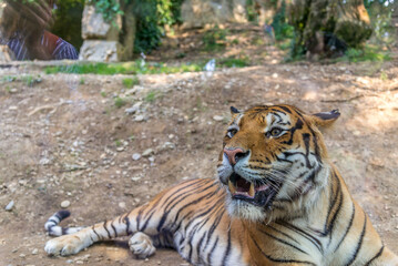 Bergamo, lombardia, italy, parco naturale, animali,