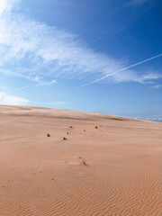Polish desert nature dune in Poland