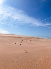 Polish desert nature dune in Poland