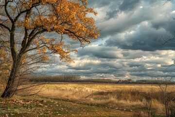 A tree with leaves on it is in a field with a cloudy sky