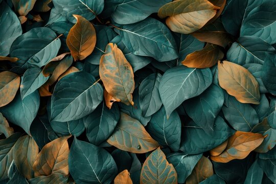 Background of green and brown leaves. Toned.