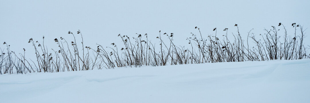 Images from a roundtrip in the cultural landscape of Toten, Norway, starting from Lund in Kolbu by Mollerhagen and back again, a cloudy winter day of March 2024.