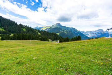 Montagne -paysage à abondances et environ - Chatel - France