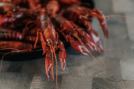 lobster on a wooden background