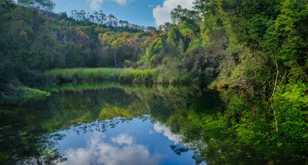 A picturesque lake with the reflected sky and the Atlantic Forest on the banks. Naturalistic...
