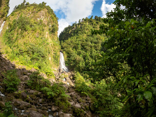 The twin falls of Trafalgar Falls high in the mountains of Dominica