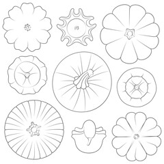 Set of black and white images with pumpkins of different types and shapes. Isolated vector objects on white background. - 762728913