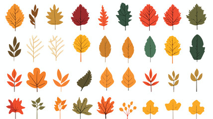 Autumn leaves. Illustration of various foliage. fla - obrazy, fototapety, plakaty