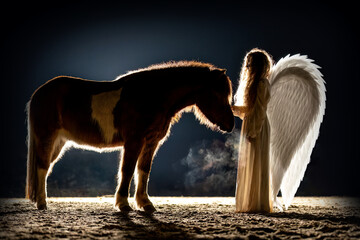 Romantic scenery of a woman and her horse - night photography of an angel and a icelandic horse