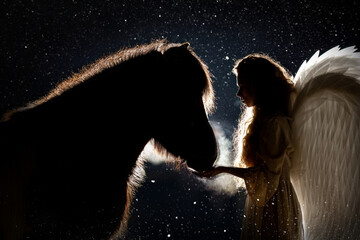 Romantic scenery of a woman and her horse - night photography of an angel and a icelandic horse