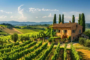 Foto op Canvas A charming vineyard in the Tuscan countryside © Daniel