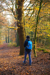 an asian young man hiking in autumn forest