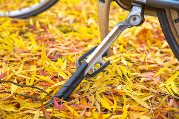 Obraz premium kickstand of bicycle detail with yellow leaves, close up