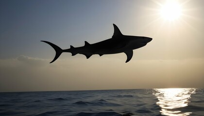 A Hammerhead Shark With Its Distinctive Silhouette Upscaled 3 - obrazy, fototapety, plakaty
