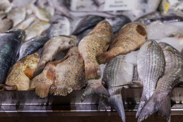 Fish for sale at Al Mina Market  in Abu Dhabi, United Arab Emirates.