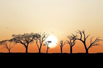 Fototapeta premium Tree silhouettes with a setting sun, evoking tranquility. Silhouetted Trees Against Sunset