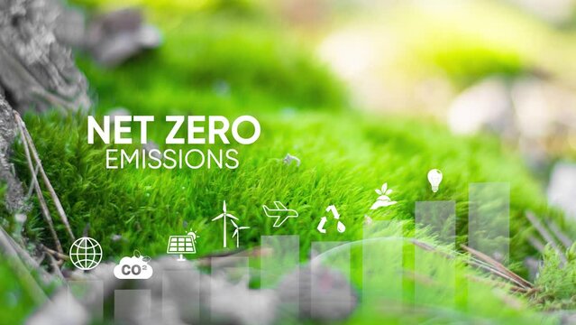 Net zero 2050. Carbon neutral concept. Net zero greenhouse gas emissions target. Climate neutral long term strategy.Growth chart with net zero icons. 4k video