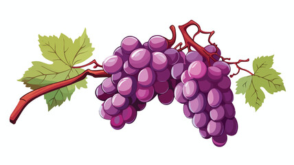 Branch of grapes with leaves in sketch style. Vecto