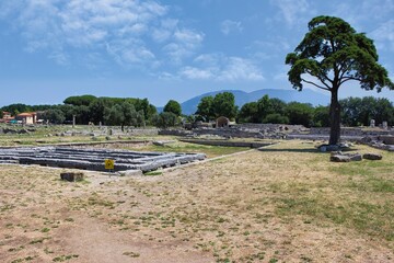 Fototapeta na wymiar The beautiful archaeological park of Paestum in the province of Salerno, in Campania, Italy. The park includes the remains of the ancient Greek city of Poseidonia, founded in the 6th century BC .