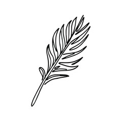 a drawing of the leaf and feather
