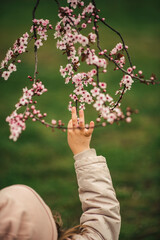 tree in child's hand