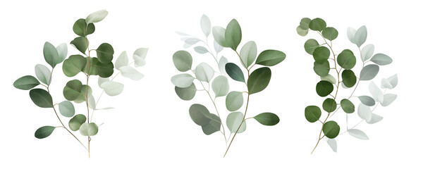 Watercolor bouquet of leaves and eucalyptus branch. Botanical herbal illustration for wedding or greeting card. Hand painted spring composition isolated on white background. - obrazy, fototapety, plakaty