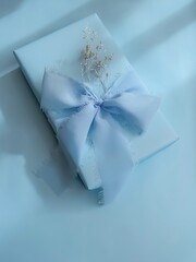 small present wrapped in blue paper and bowed chiffon ribbon