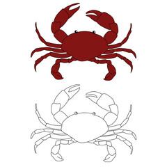 Crab Clipart Set for Lovers of Sea Animals and Ocean Creatures. Outline and Colorful Crabs