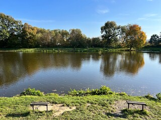 benches on the bank of a small pond