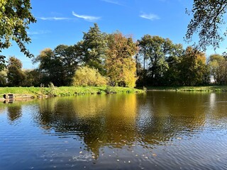 bank of small pond in autumn park
