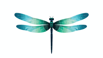 Dragonfly. Vector illustration. flat vector illustr