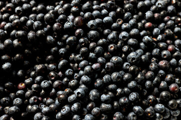 Fresh blueberry background. Texture blueberry berries close up.