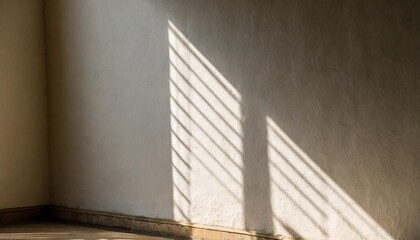 natural light and shadow on wall