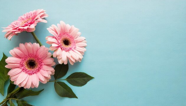 top view image of pink flowers composition over pastel blue background