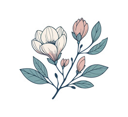 Magnolia flower hand drawn vector illustration