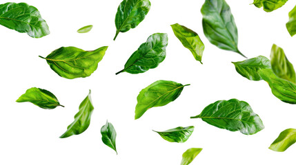 Group of Green Leaves Flying Through the Air Isolated On Transparent Background