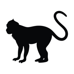 silhouette of a langur on white background