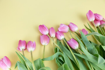 Pink Fresh Tulips on Yellow Background, Springtime Easter Colors Seasons Spring Flower Bloom, Mothers Day Wallpaper Design, Light Colors Pastel Pink and Yellow Flowers