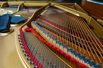 Interno pianoforte a coda