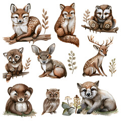 Set of woodland animals