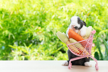Adorable baby rabbit mammal bunny pushing shopping basket cart have fresh carrot and baby corn...