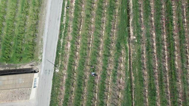 Aerial video of an agricultural area near Sierra Aitana, Spain
