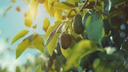 Fototapeta premium Avocado on a branch. Generative AI