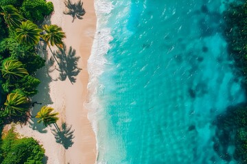 Aerial View of Tropical Beach with Crystal Clear Water, White Sand, and Lush Green Palms - Idyllic Summer Vacation Destination